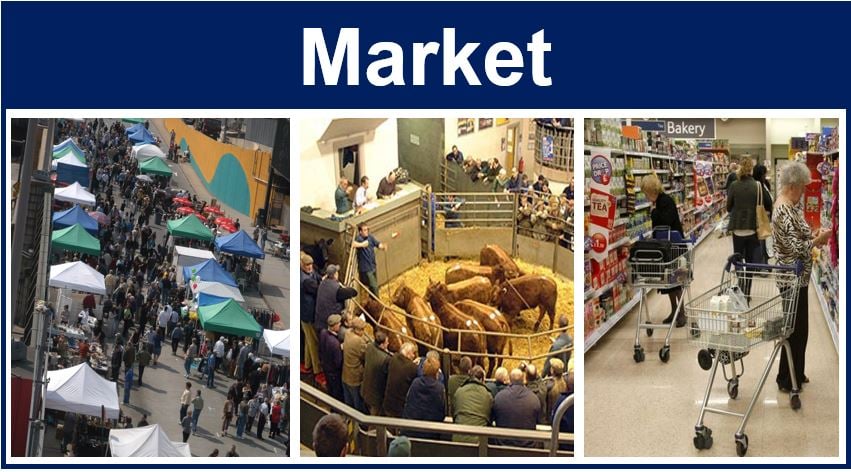 What is the Market What is on the Market