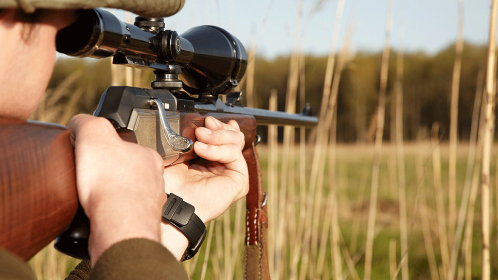 The Importance of Gun Maintenance for Hunting Season