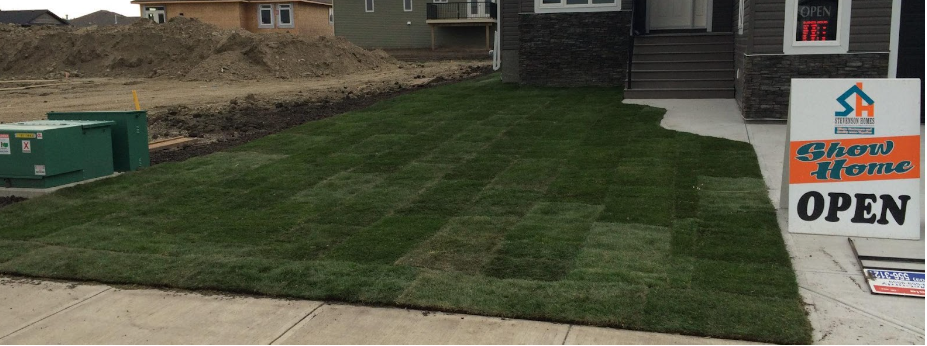 Sod Installation in Calgary