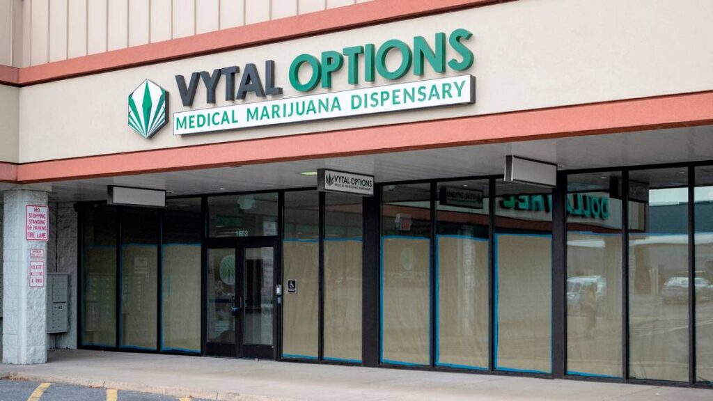 Revolutionizing Health: Vytal Options for Wellness