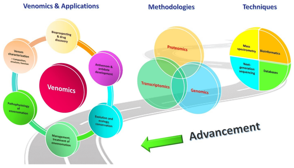 Revolutionizing Education: The Lance Storz Approach