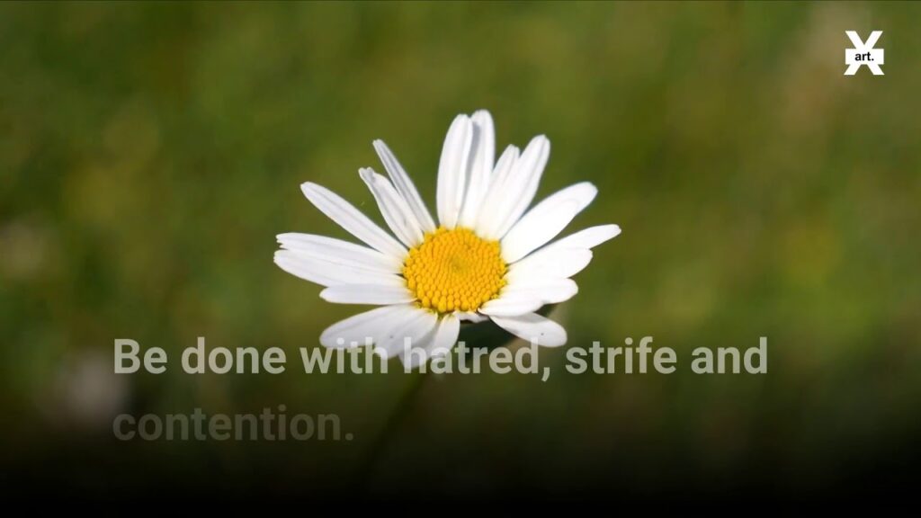 small-straws-in-a-soft-wind-navigating-lifes-subtle-signs