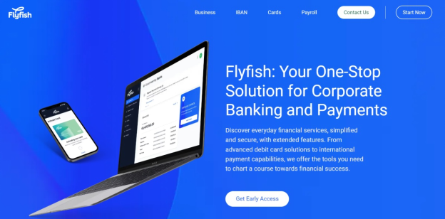 Flyfish Review - A One-Stop Solution for Your International Payments