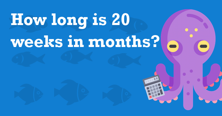 How Long is 20 Weeks?Find Out Here