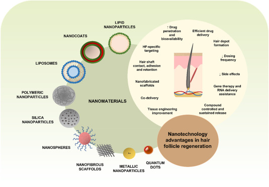 How Foundational microorganisms are Changing Regenerative Hair Treatment