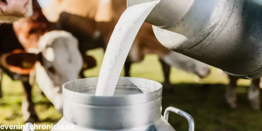 health-benefits-of-buffalo-milk