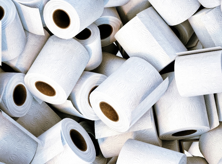 Sustainable Toilet Paper An Eco-Friendly Necessity