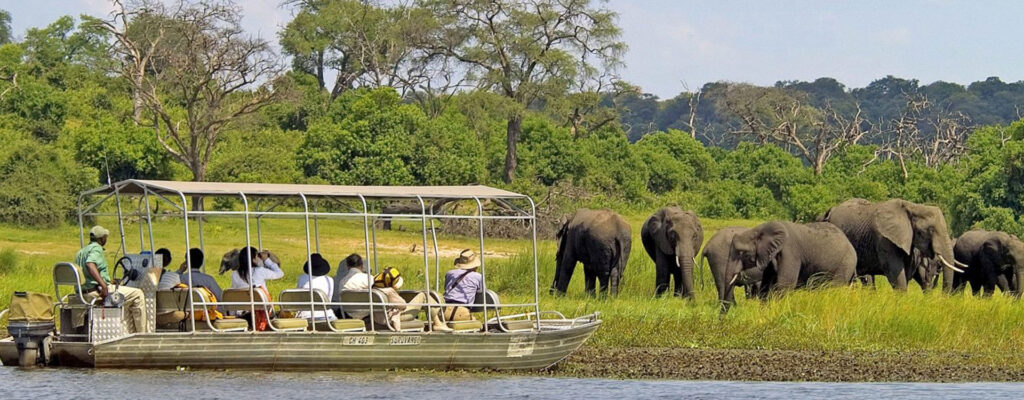 wilderness-wonders-a-7-day-botswana-family-safari-adventure