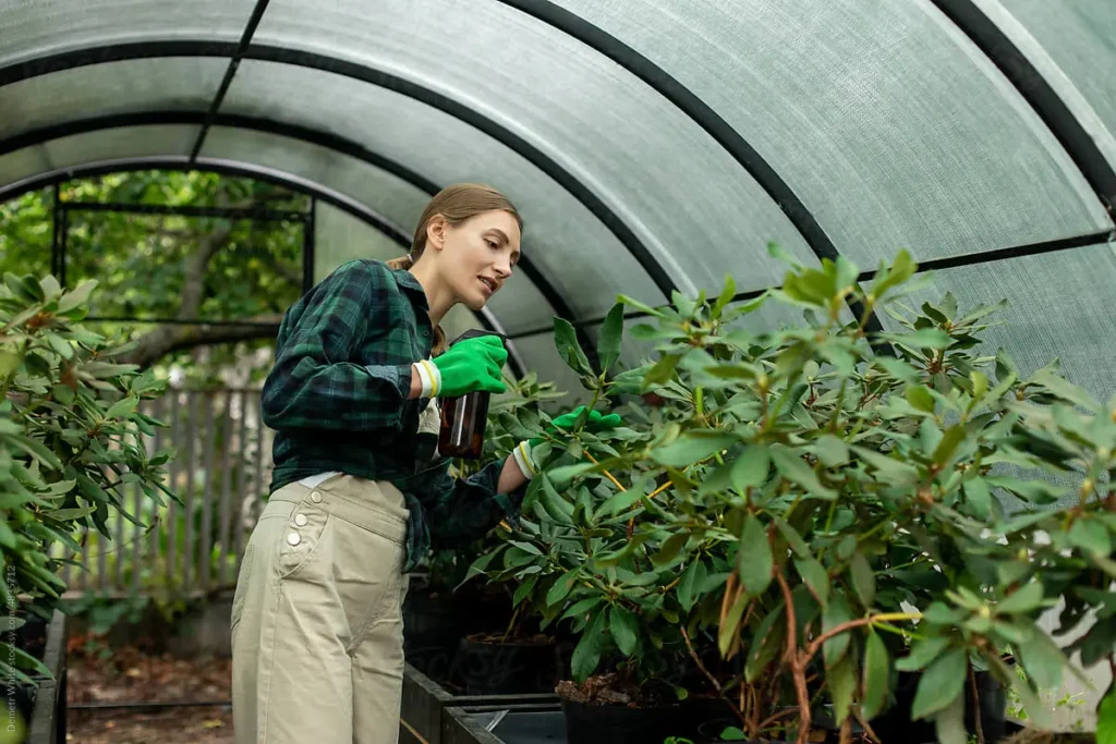 Key Benefits of Buying Wholesale Greenhouse Supplies for Cost-Effectiveness and Quality